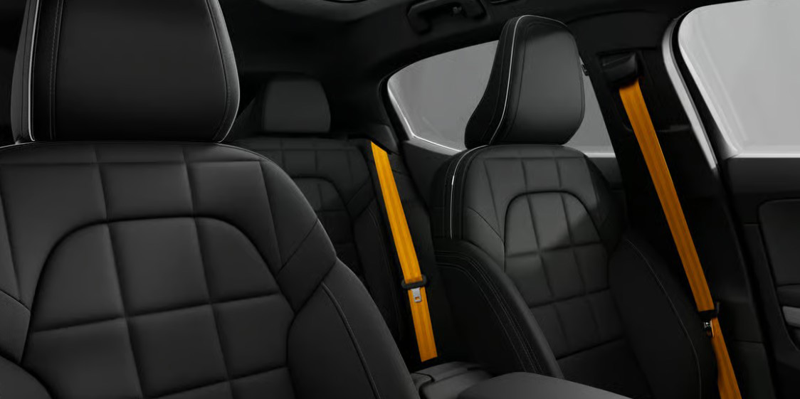 Polestar 2 LRDM Performance